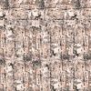 Raw-VE027-1