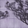 Dafne-VE036-3