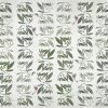 Leaves-MP001-1