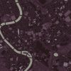 Tevere-VE006-2