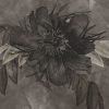 Botany