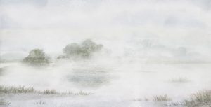 Online VS In-Store: Where To Buy CBD Gummies Mary Jane's CBD Dispensary