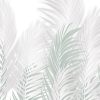 Areca