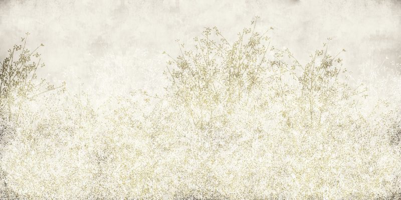 Branches