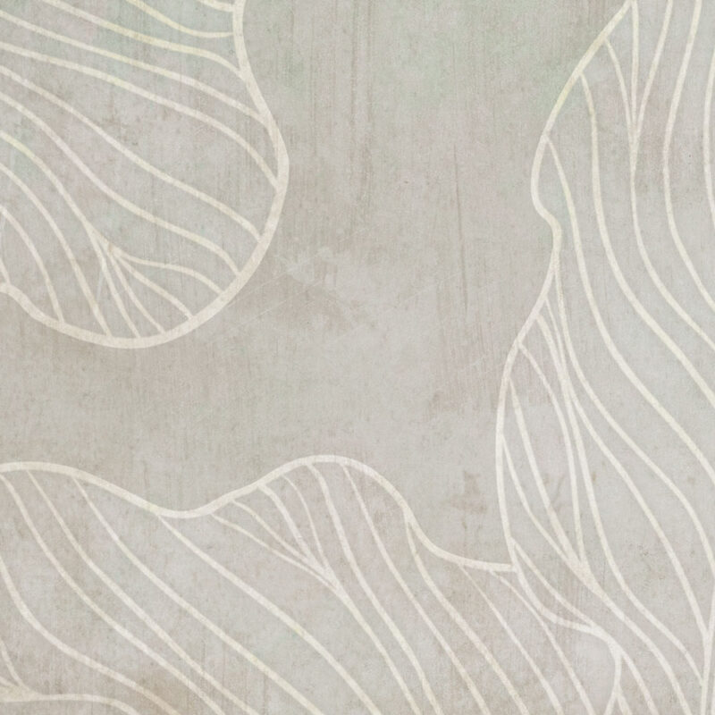 Ficus