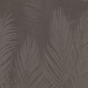 Areca