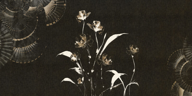 Armonia