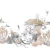 Corallina