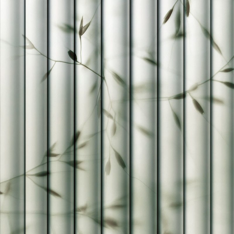 Bamboo wall