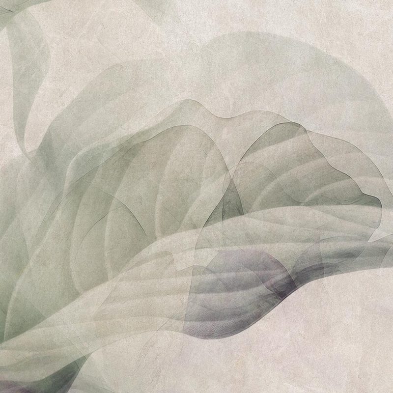 Arum Lily