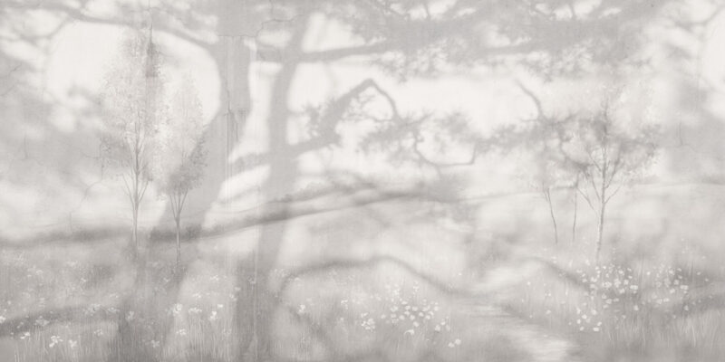 Heathcliff